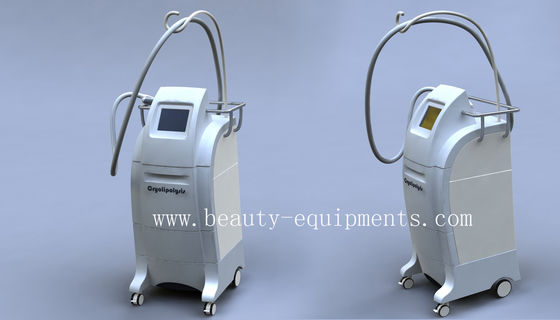 2012 Most Popular Cryolipolysis Fat Reduction Cryolipolysis Machines